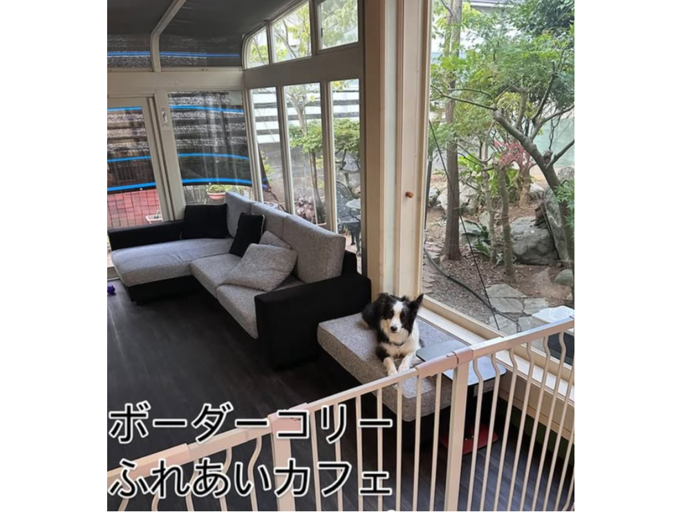 �m�A�[���̋��̎ʐ^3