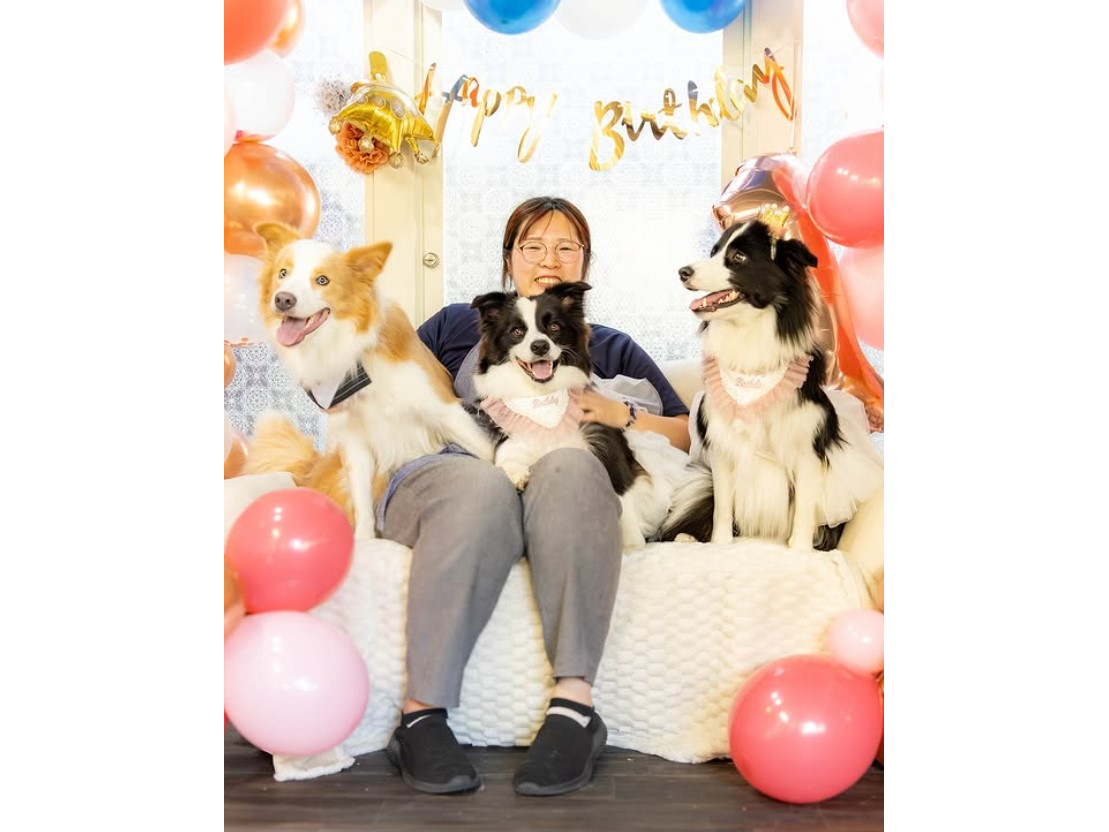 50分ボーダーコリーふれあい体験プラン(2階)お一人でのご参加も大歓迎♪~カップ...