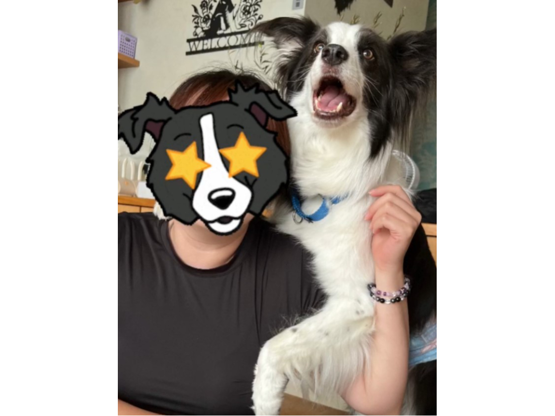 �m�A�[���̋��̎ʐ^4