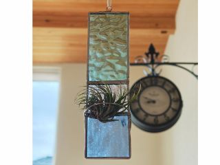 エアプランツホルダー。植物はご自宅でお気に入りの子を飾ってください。