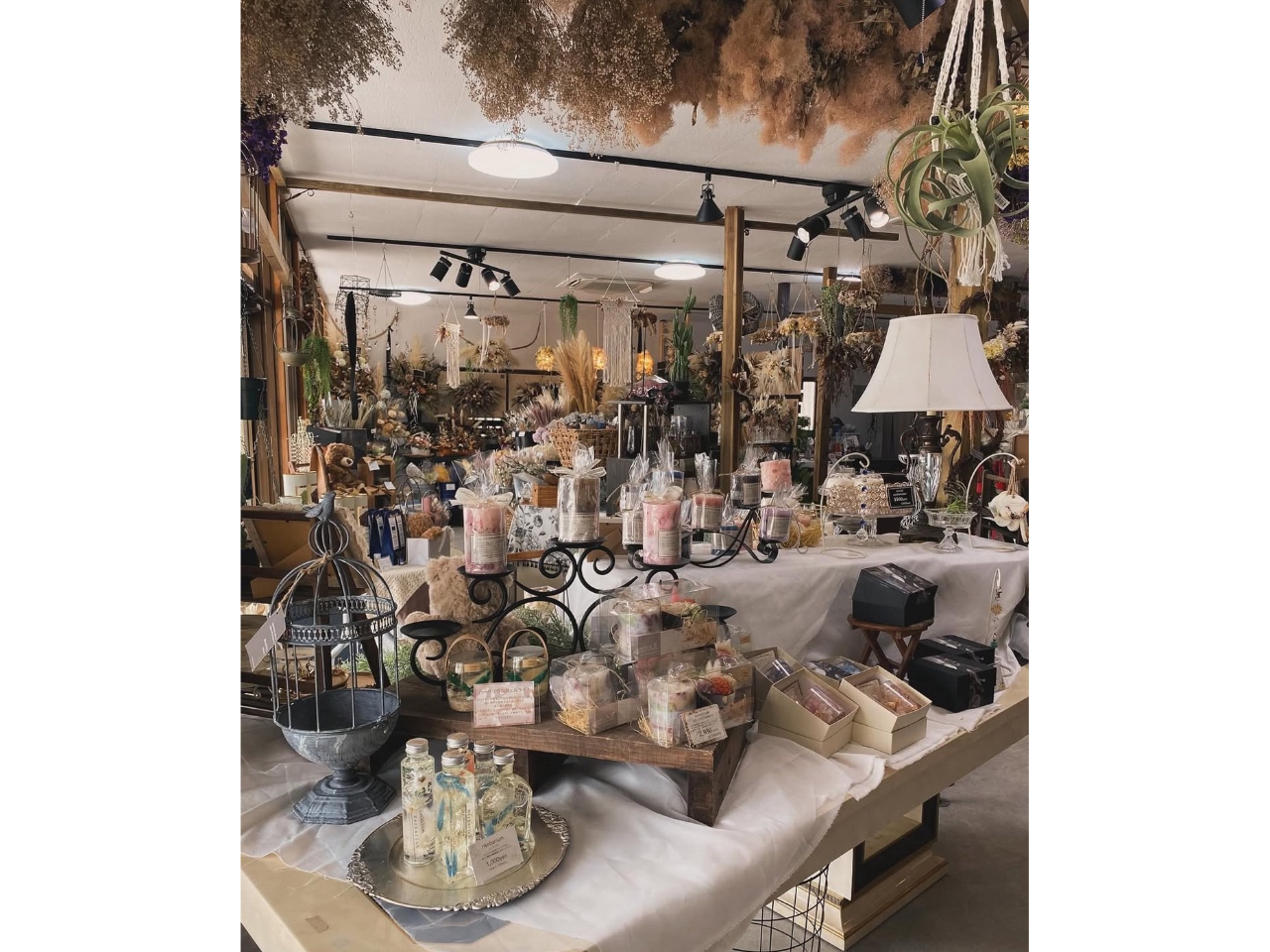 LhV{t[Ȃǂ̔Ă܂BA}TVFTLb`[ȂǃIWii܂B