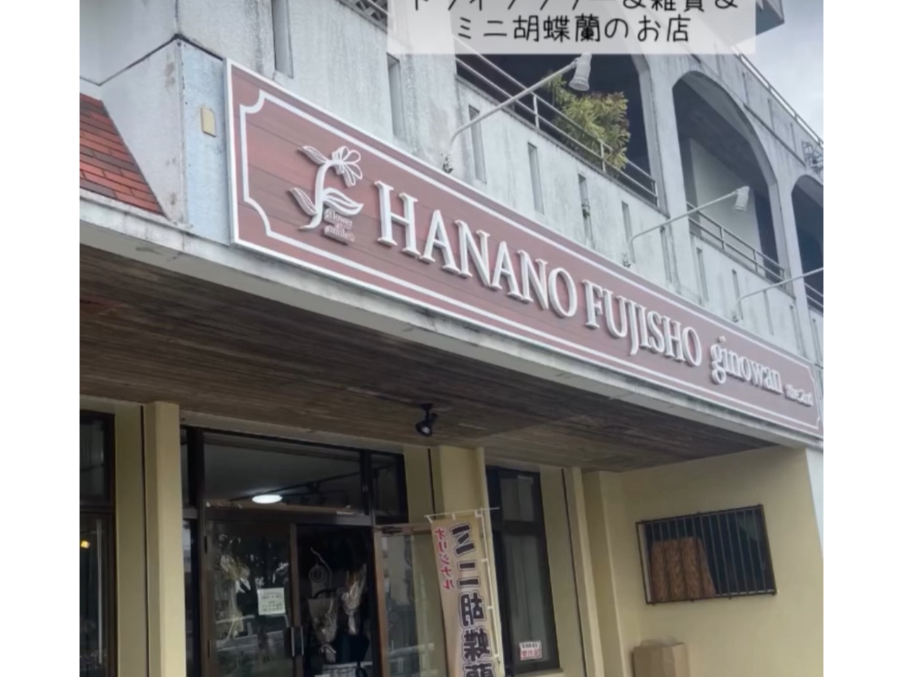 HANANOFUJISHOginowan2nd@̊Ŕڈł