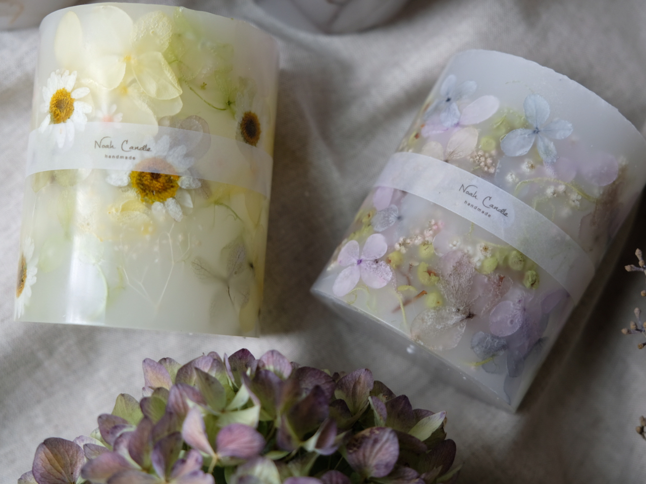 N₩ȂFō̂jAXJ[ō̂ǂXeL