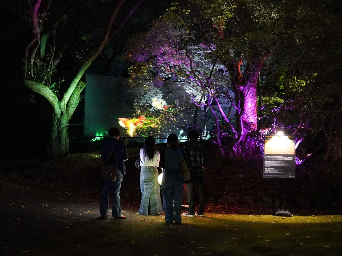 ホログラムに舞う幻の光の鳥に出会える森。