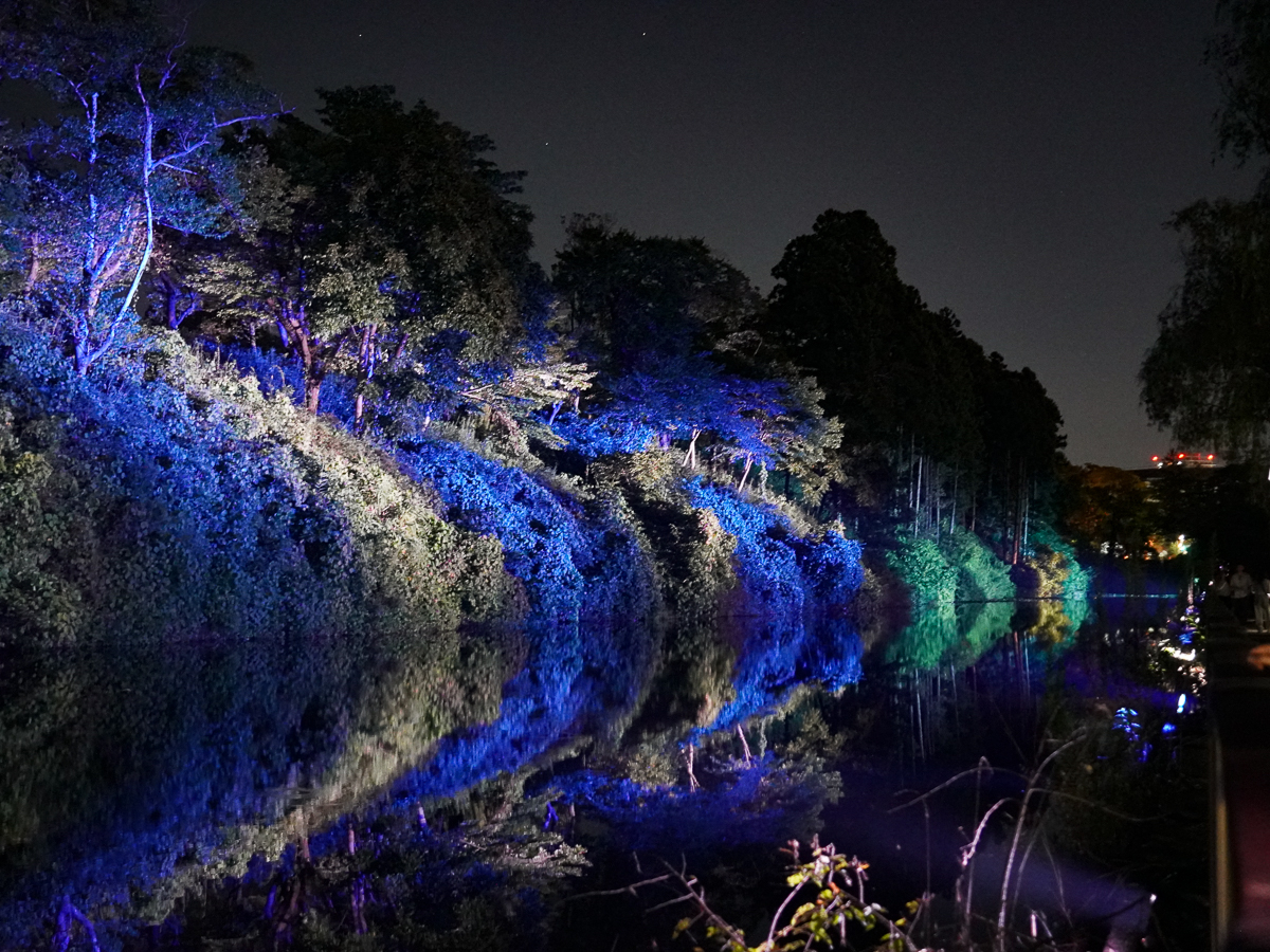 I[F200m̌ƐFʂ̃Of[V[h