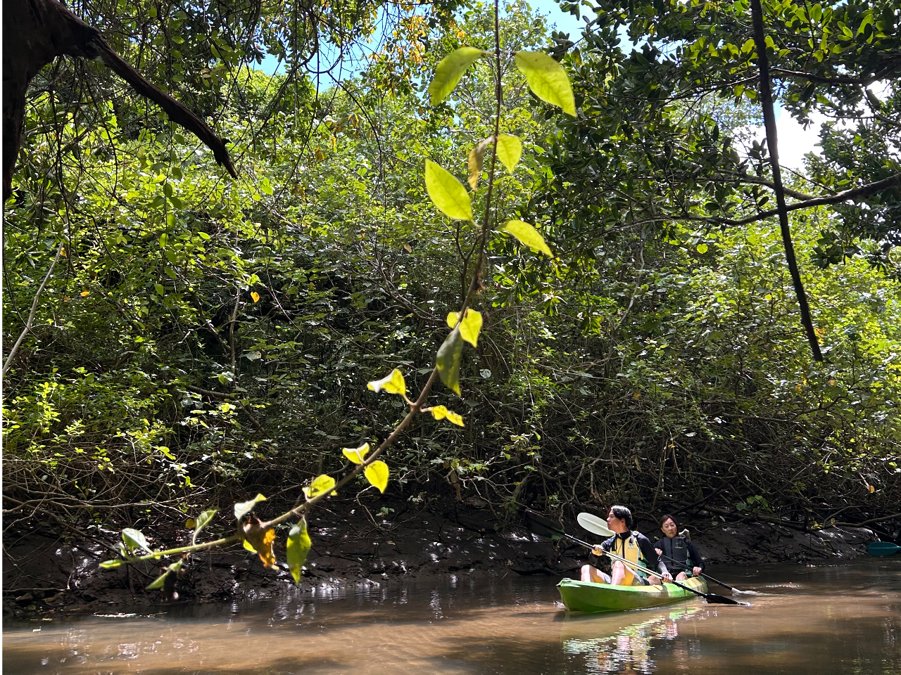 �Ί_���Ŏ��R��