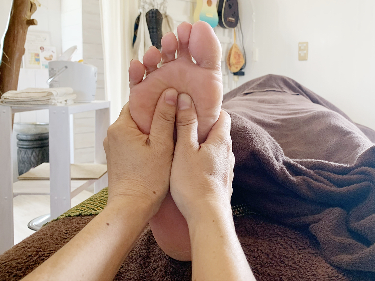 ArK͑炵ƂقČt̏𑣂܂B