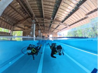 ダイビング体験の様子