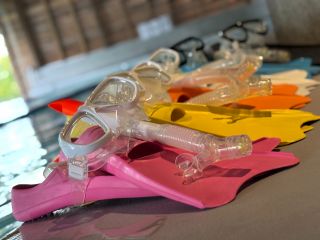 自然光の中でスノーケルスイム体験してみませんか?