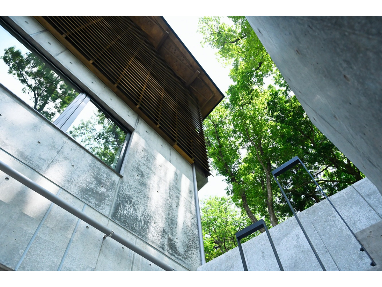 �u�₩�Ȗ؁X�Ɉ͂܂��