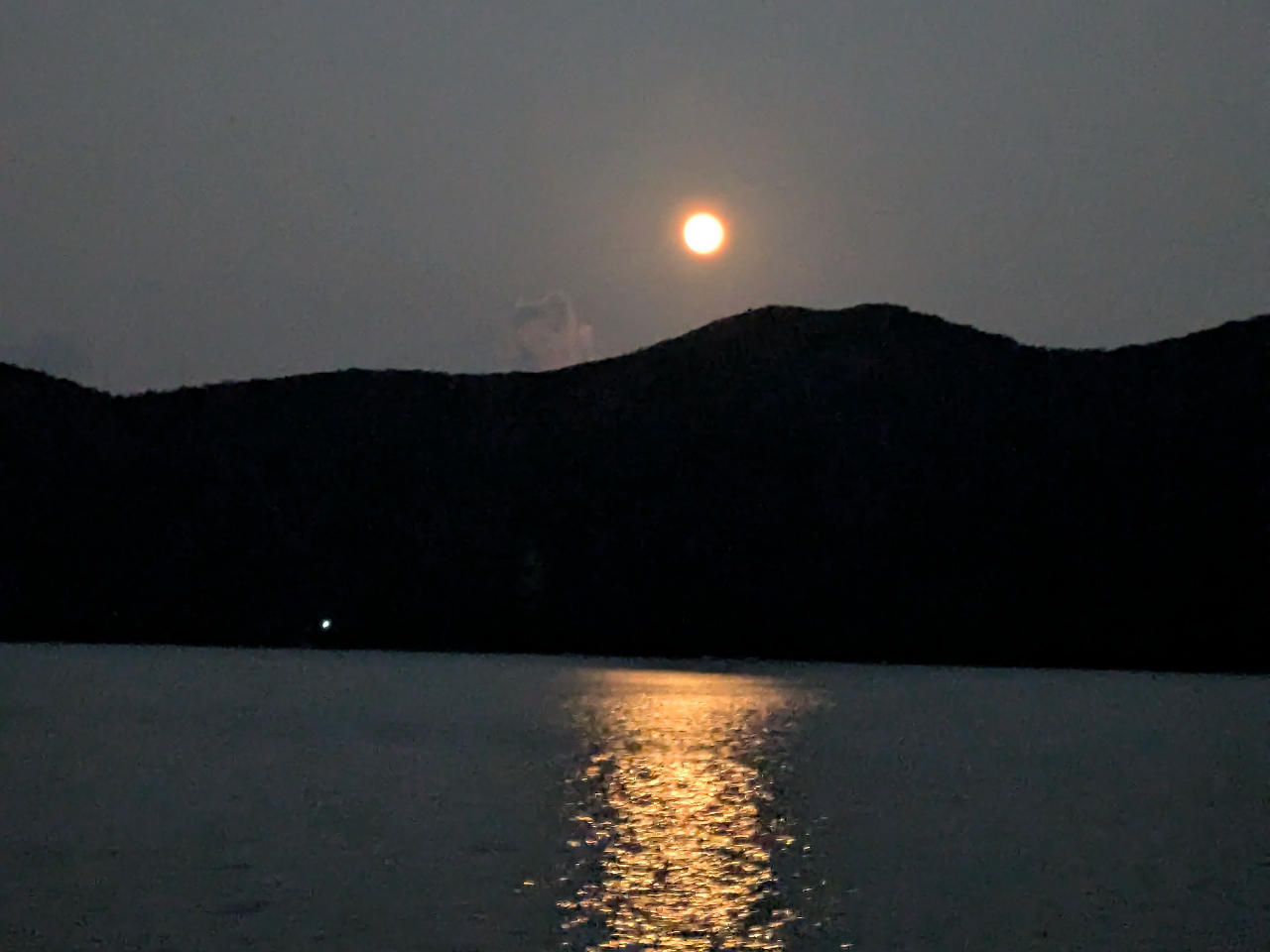 ・奄美の大自然を感じるナイトツアー!
・クロウサギにも出会えるかも??
・昼間はバスガイドを務め、介護資格もあるスタッフが奄美の魅力を
ガイドします!
・奄美市名瀬~車の無い方は3名様まで送迎可能!