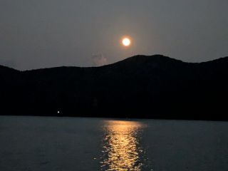龍郷湾と金の月、満月の夜のナイトツアー