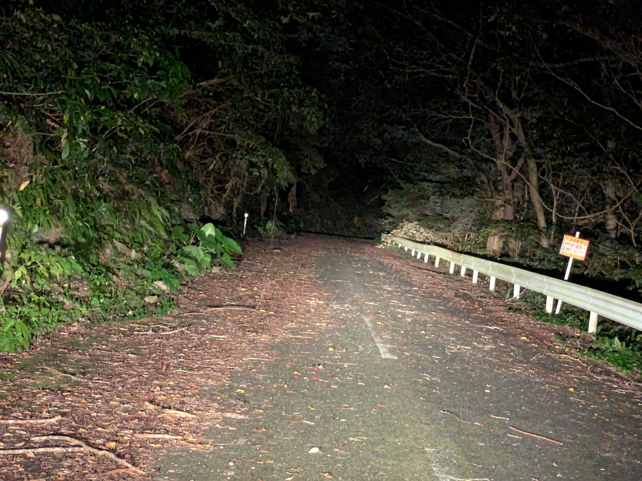 Èł̓A͂ǂȂɑ邩NNhLhL