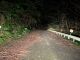暗闇の峠道、今夜はどなたに遭遇するかワクワクドキドキ