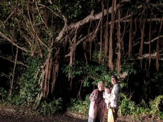 幻想的な木の精霊が守るガジュマルのシャンデリアの下で幸せいっぱいファミリー。