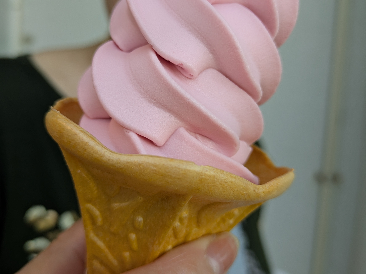 奄美大島大和村集落巡り、小さな道の駅でスモモソフトクリーム。大和村のスモモは毎年皇室に献上されています!!一番人気。