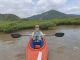 奄美群島国立公園マングローブでカヌーを楽しむイケメンさん。