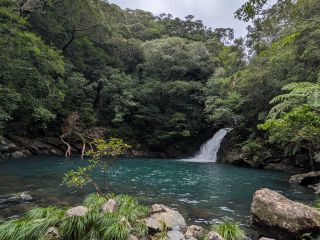 神秘の森にマテリアの滝