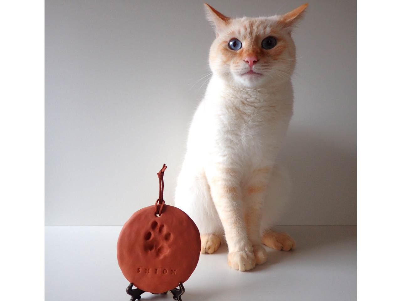 我が家のにゃんこの手形です