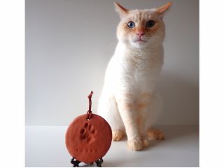 我が家のにゃんこの手形です