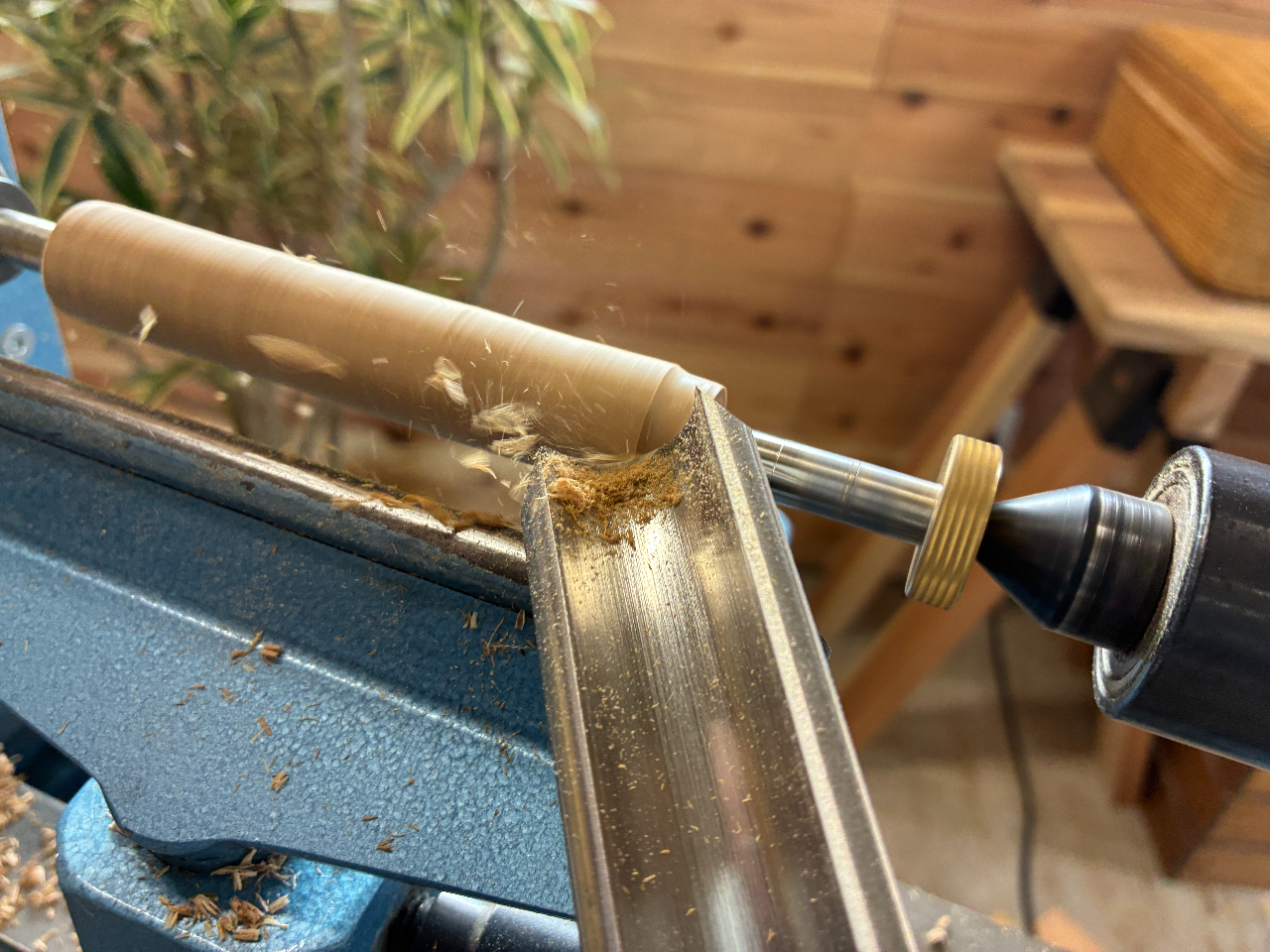 pނtBOKEWƂnŊۂȂ܂ō܂Bڂ̑OŌ`ςĂlqA؂ccɂȂĂ܂I