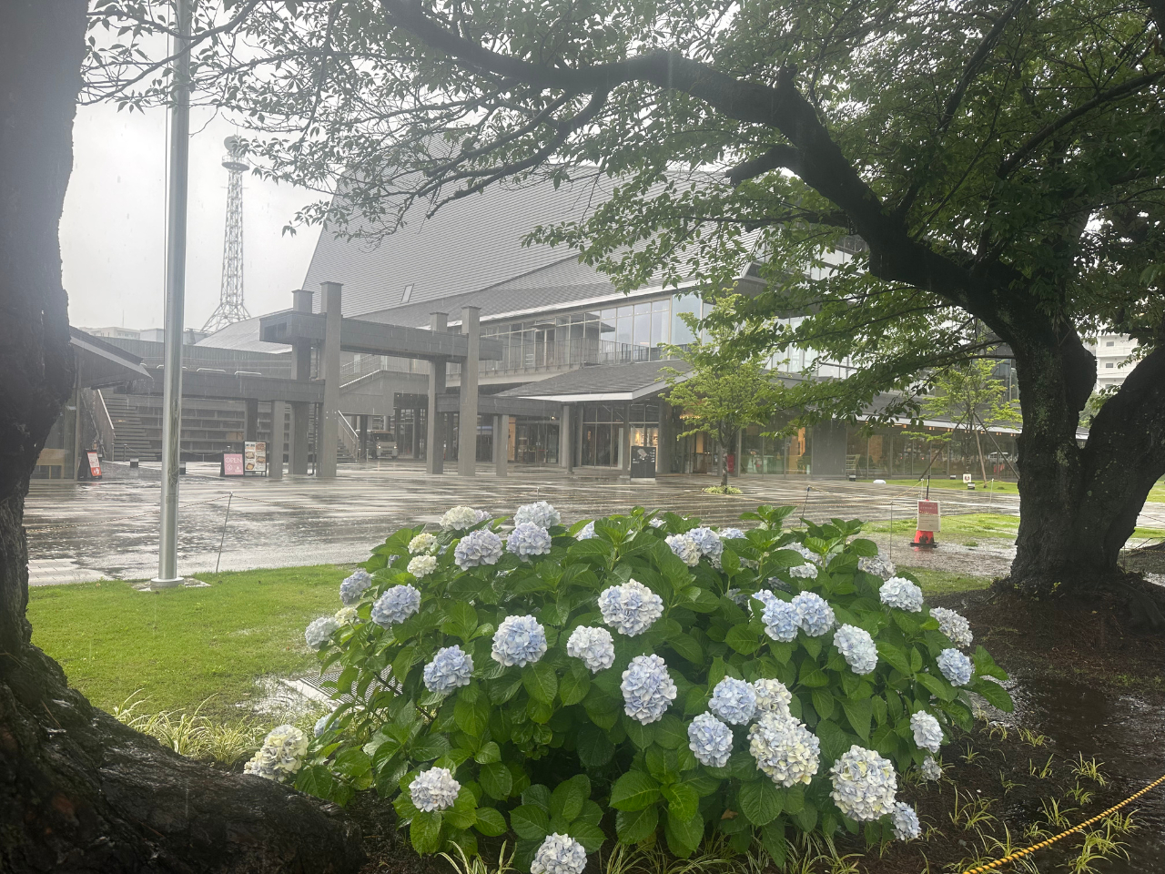 �����O��