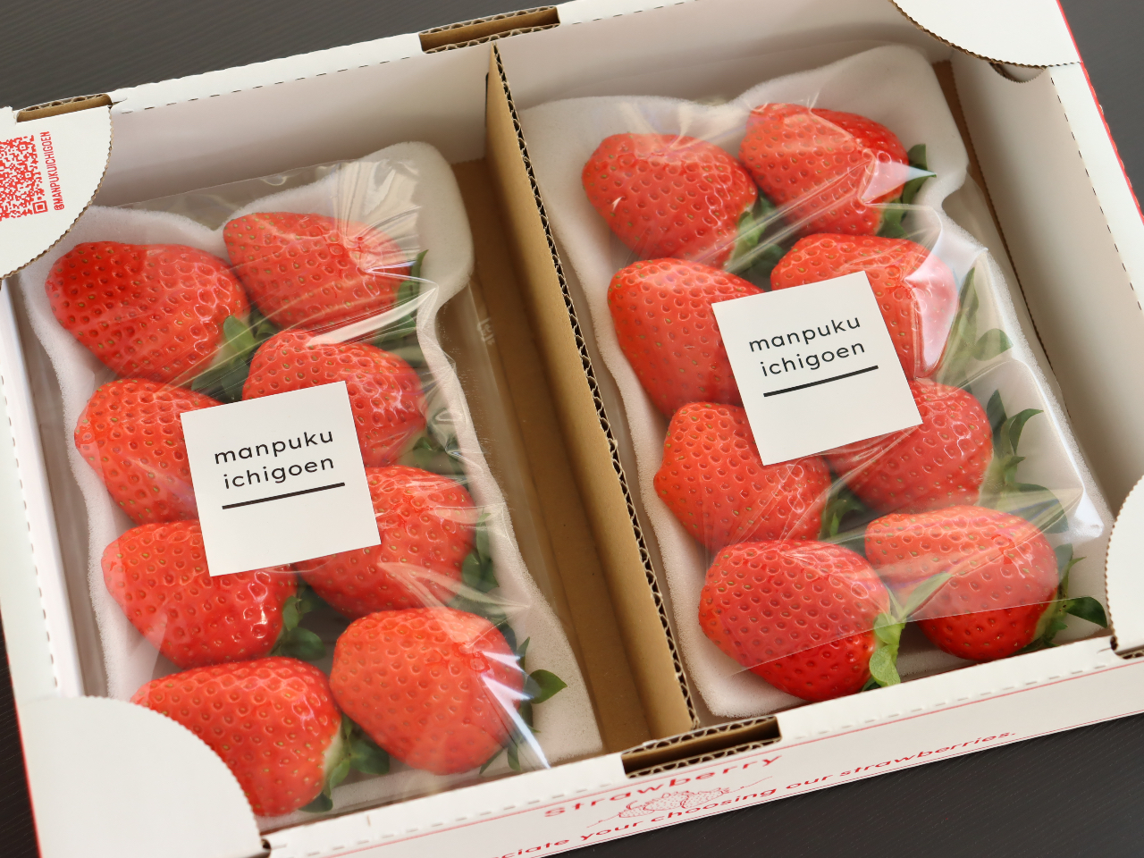 いちご様連絡ページ 2025年12月NEWオープン！／／群馬・伊勢崎〈いちご狩り食べ放題！最大6