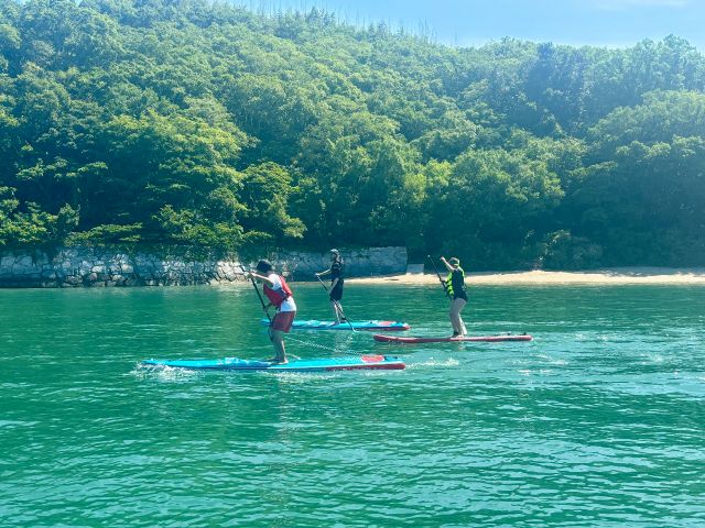 穏やかな海だから初心者やお子様も安心