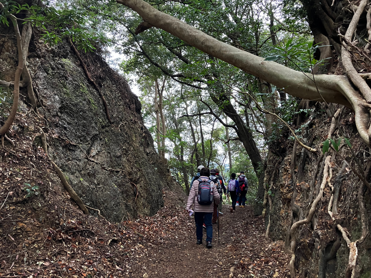 11月24日(月祝)紀伊長島駅〜船津駅  17.4q 三浦峠/始神峠