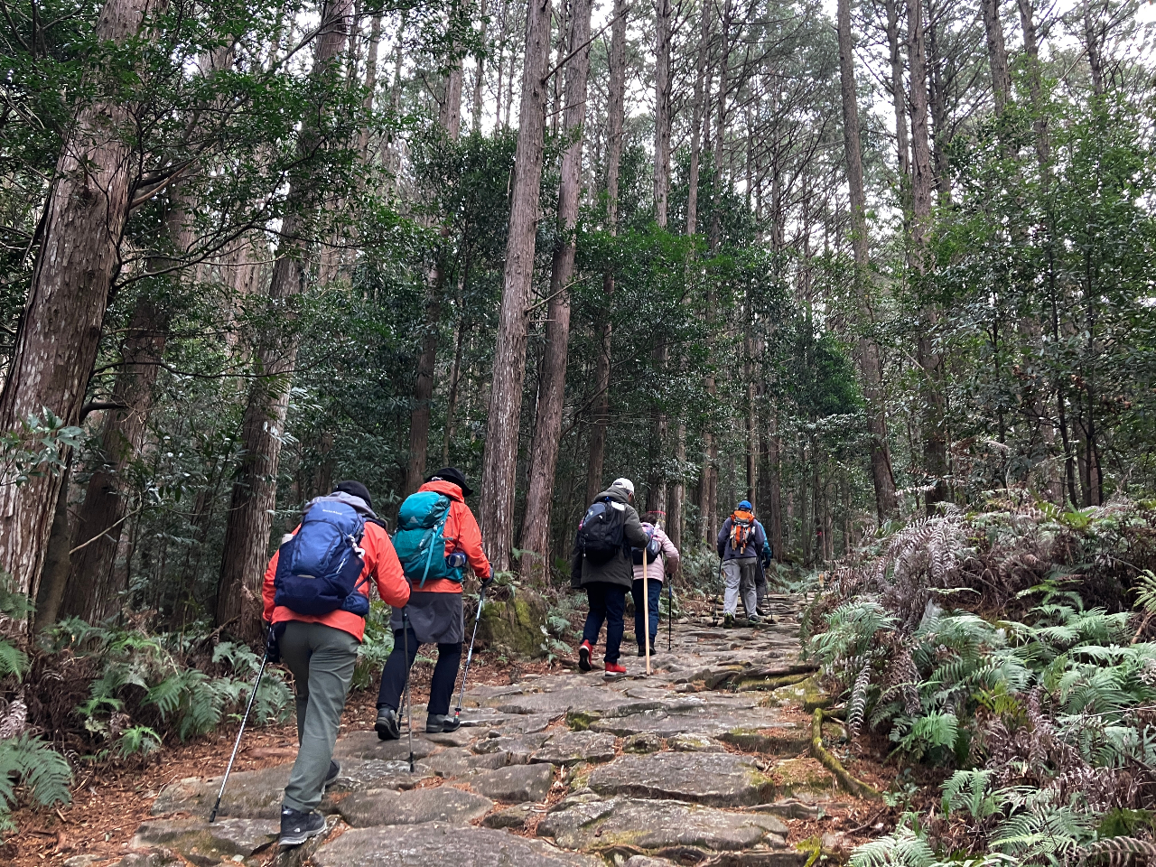 12月6日(土)船津駅〜尾鷲駅 12.0q 馬越峠