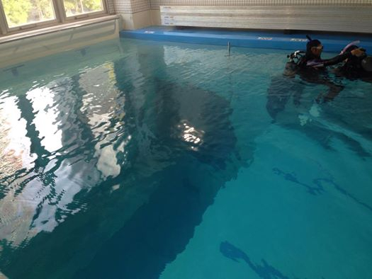 ���s���ɂ���_�C�r���O��p��POOL�ōs���܂��B