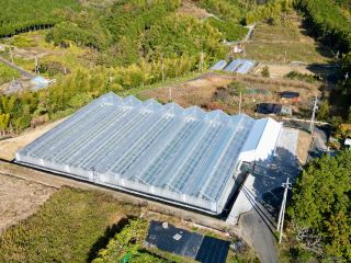 こちらがハウス全体像です♪