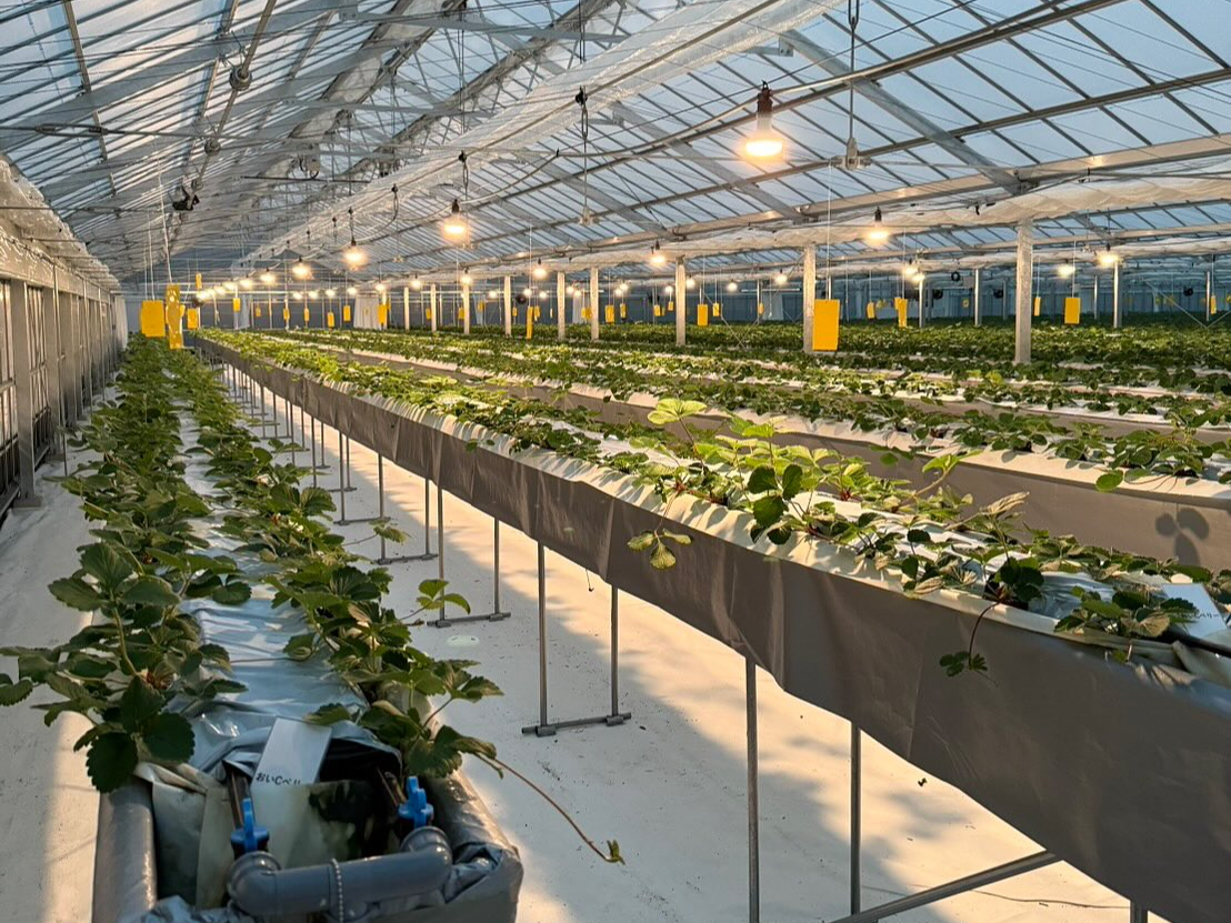 �n�E�X�̒��́A���̂悤�Ȋ����ɂȂ��Ă��܂���