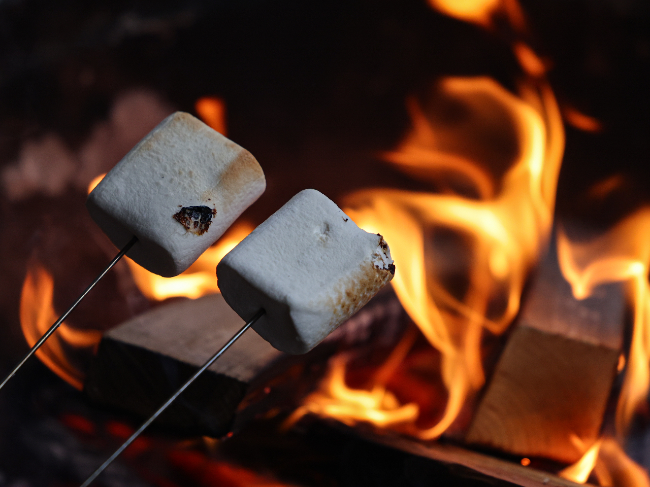 BBQł̓}V}OȂˁĂƕʕɖւ񂵁`