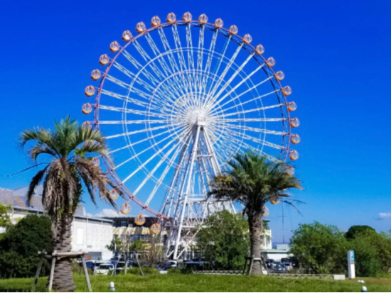 AgNVP̂ły݂܂IiAgNVƂɕʓrp̐ݒ肠j