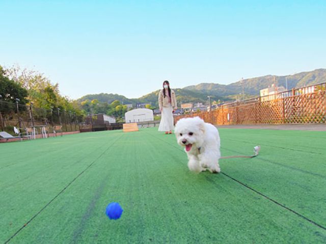 わんちゃんと一緒にご入場いただけます♪ ※ドッグランエリア有