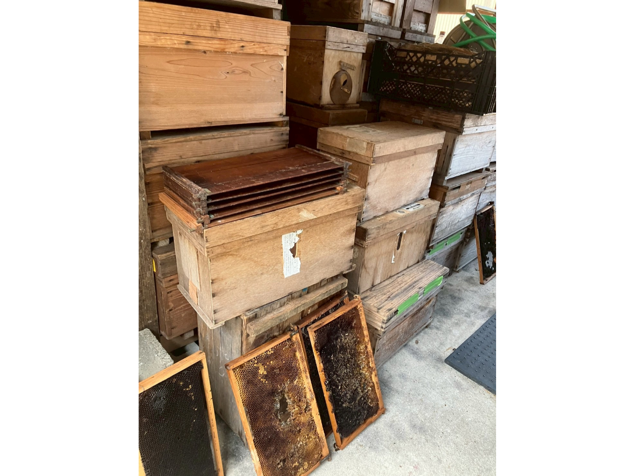 ハチミツの巣箱。ここでミツバチが天然蜂蜜と蝋を作っています。