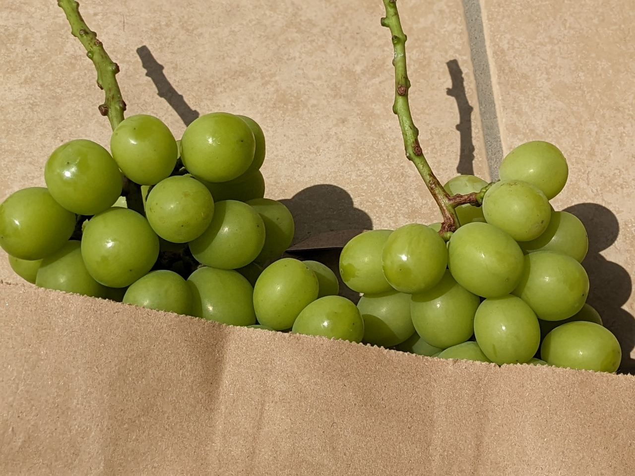 �V���C���}�X�J�b�g���[�������A�蒸���܂��I���������A��l�Ɏ�񂰂̎��܂����p�ӂ��Ă���܂��B