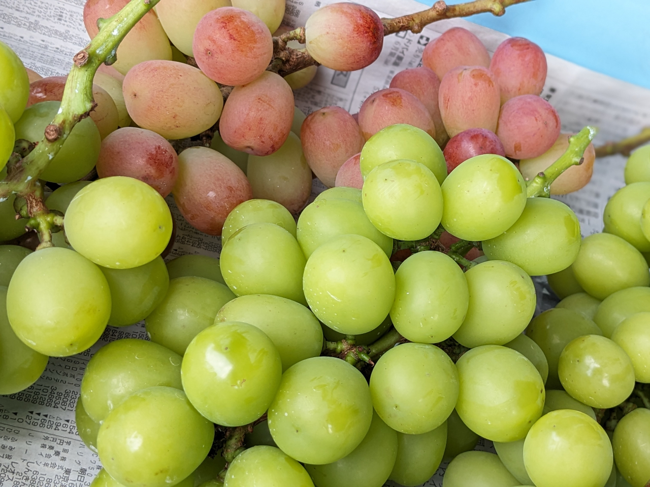 �����̕������X�ɂ���܂��̂ŁA�ǉ��ł��w�����Ē��������o���܂��I���ʓr�������|����܂��B