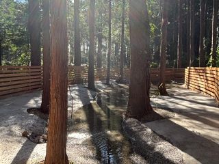 木陰の中ですので飼い主様もリラックスできます♪