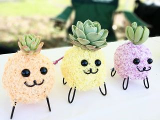 もふもふした人形作り体験。本物の多肉をさして育てることもできます♪