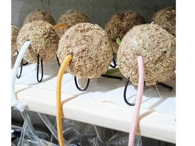 しっぽからお水をあげるよ〜