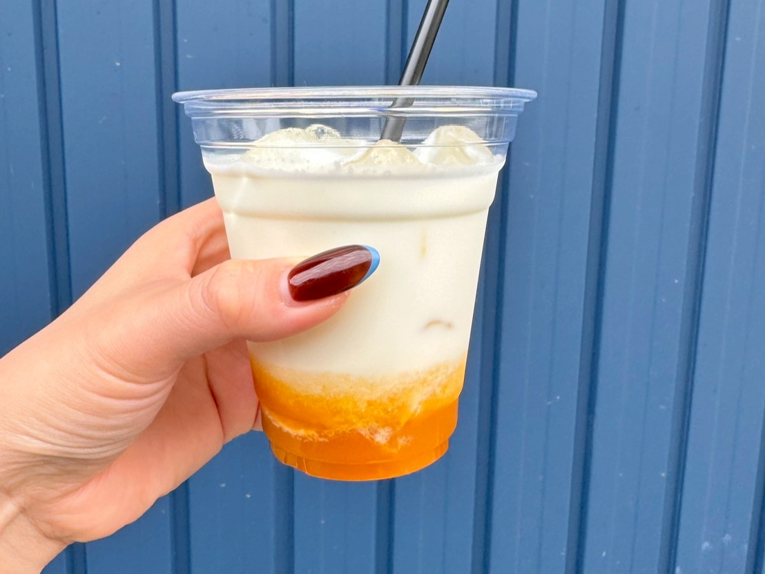 C`IV́wt[cIIxACX̂ł