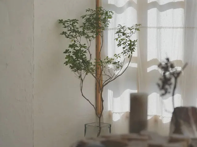 AgGł͖X̘XC̍w\łB