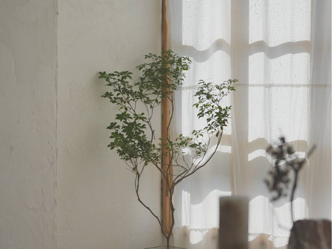 D̈AgGB~ł̌ł̂ŁA~̏{sɂ߁B