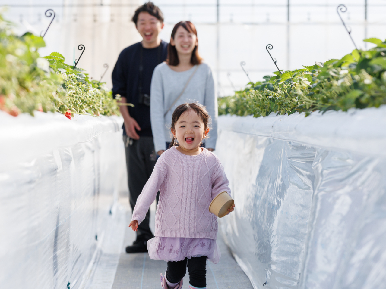 GW【小学生、未就学児3~6歳はお持ち帰りカップ付き】45分食べ放題、4品種食べ...