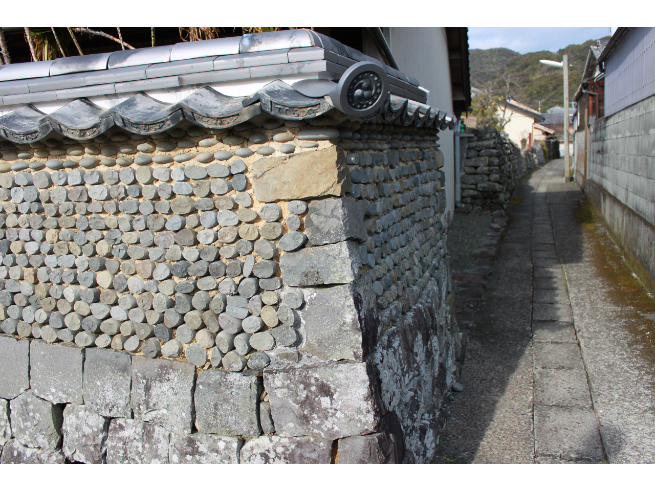 ˁEgǐ̐ΕƓy򂪐DȂiB