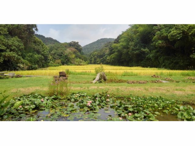 室戸・中山造園で学ぶ食育と地域の味覚