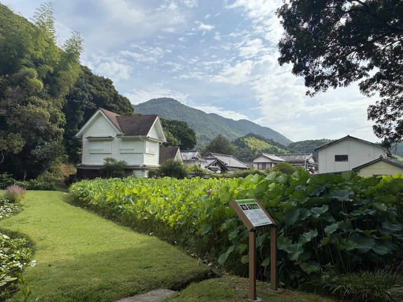 室戸・百々世の里を散策しながら感じる四季の移ろい