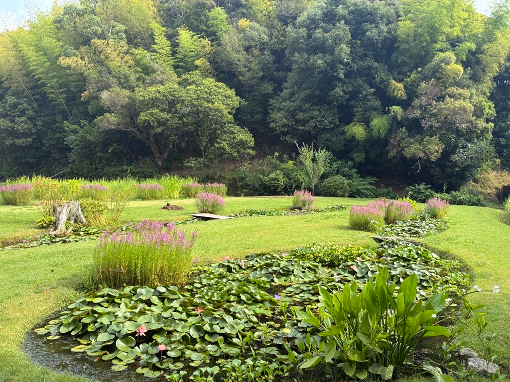 室戸の庭園で蓮と睡蓮を眺めながら散策してください